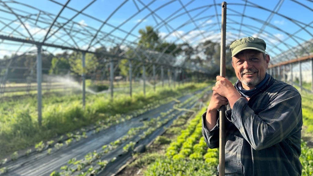 Bio-Landwirt Sebastian Zeitz auf den heimischen Feldern in Gerwisch.