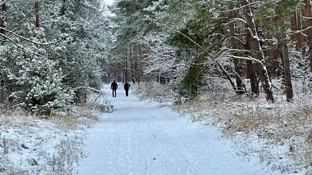 Einen besonderen Winterspaziergang konnte man in Genthin machen - denn mit Schnee ist der Wald noch einmal eine andere Welt.