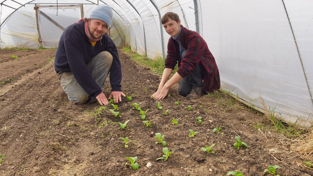 Constanze Grützmacher und Carl Enke betreiben seit einem Jahr eine Solidarische Landwirtschaft in Friedeburg.