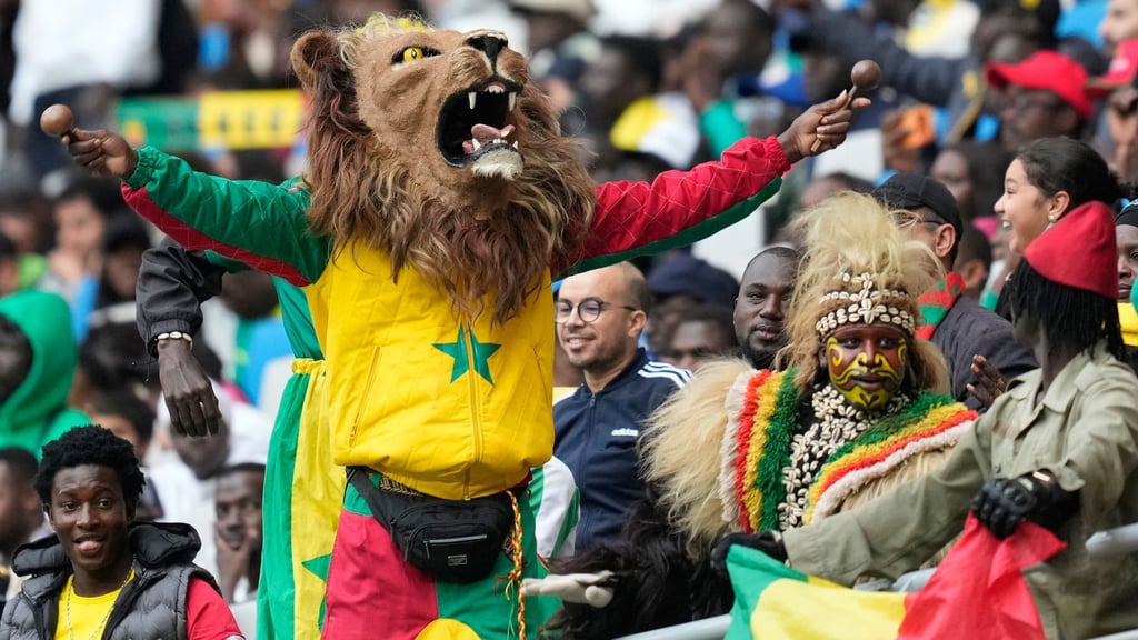 Senegalesische Fans beim Spiel im Afrika Cup gegen den Sudan. Eine Anhängerin kam zuvor bei einem Verkehrsunfall ums Leben.
