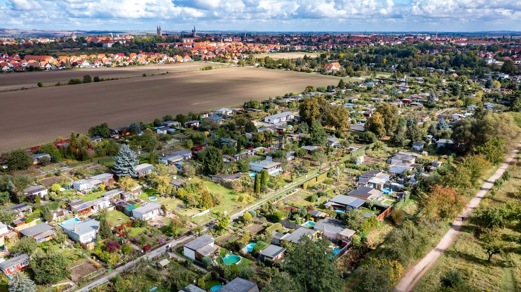 Sommerblick von den Spiegelsbergen auf Halberstadt, im Vordergrund die Kleingartensparte Süd. Doch zwischen einigen Gärtnern der Anlage, dem Vorstand und dem Regionalverband hängt der Haussegen massiv schief. Kommuniziert wird vor allem per Anwalt.&nbsp;