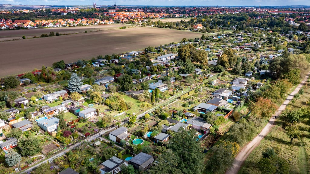 Sommerblick von den Spiegelsbergen auf Halberstadt, im Vordergrund die Kleingartensparte Süd.