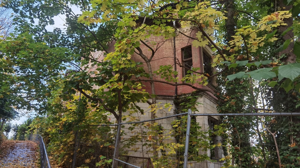 Geheimnisvoll hinter Bauzäunen und Wildwuchs verborgen: die Karfunkelburg am Aufgang zum Großen Schloss in Blankenburg.