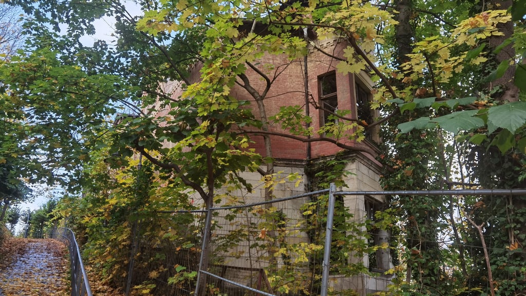 Geheimnisvoll hinter Bauzäunen und Wildwuchs verborgen: die Karfunkelburg am Aufgang zum Großen Schloss in Blankenburg.