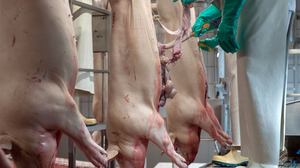 Der Bund plant Videoüberwachung in Schlachthöfen - in Niedersachsen gibt es dazu grundsätzlich Zustimmung - jedoch mit Einschränkungen. (Symbolbild)