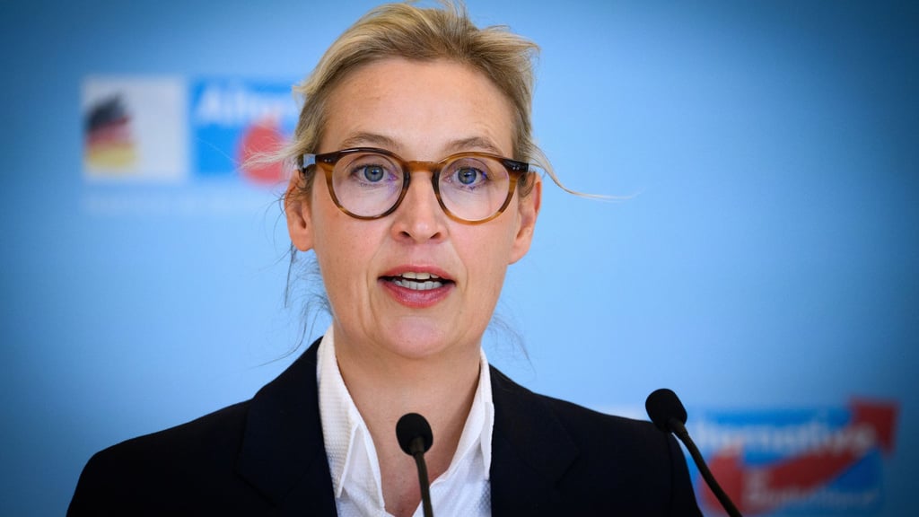 In einer Umfrage für Brandenburg erreichte die AfD zuletzt 35 Prozent. (Archivbild)