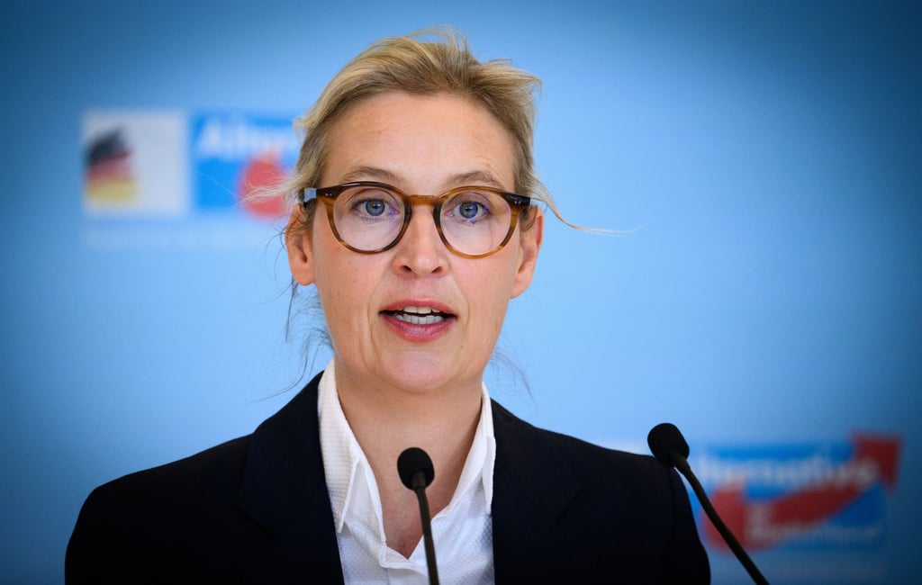 In einer Umfrage für Brandenburg erreichte die AfD zuletzt 35 Prozent. (Archivbild)