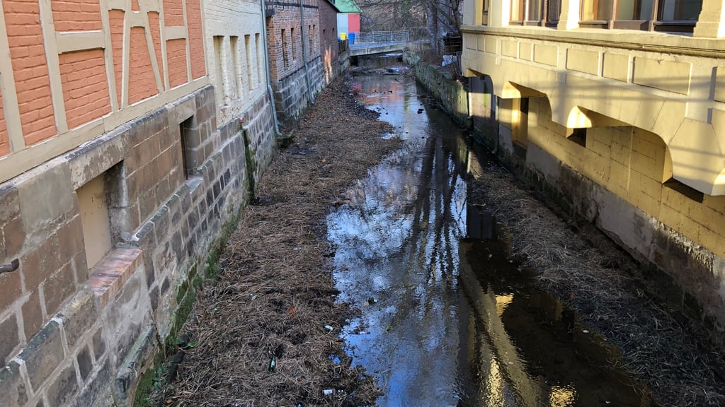 Blick von der Heiligegeiststraße in den Stiefelgraben in Quedlinburg. Dass so gemäht wird, dass  Bewuchsreste  in den Gräben bleiben, hat Gründe, sagt der für die Pflege zuständige  Unterhaltungsverband.
