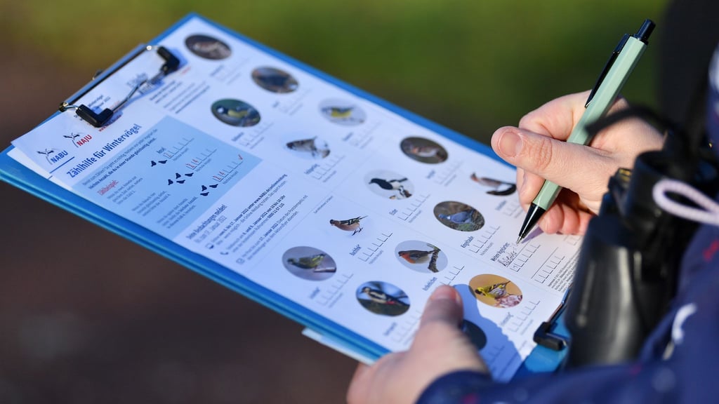 Am kommenden Wochenende können im eigenen Garten wieder Vögel gezählt werden. (Archivbild)