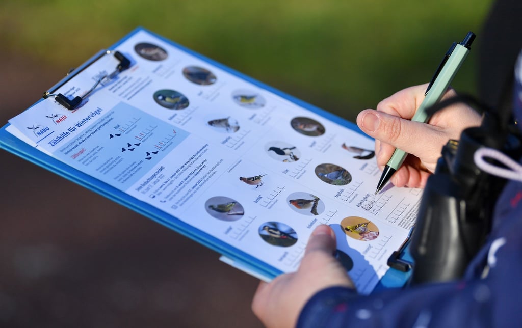 Am kommenden Wochenende können im eigenen Garten wieder Vögel gezählt werden. (Archivbild)