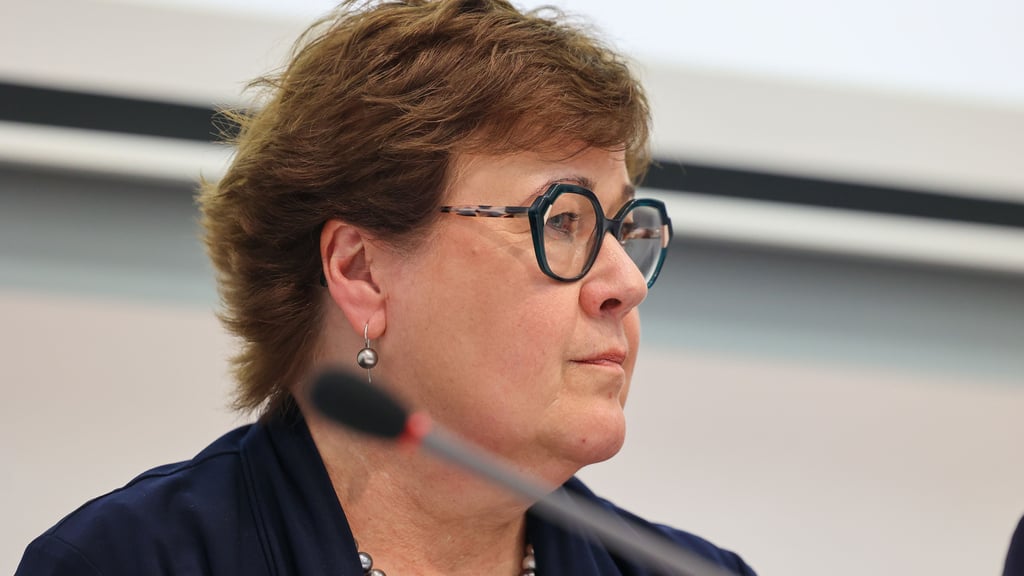 Sachsen-Anhalts Arbeitsministerin Petra Grimm-Benne (SPD) will 2026 mehr Migranten in Arbeit vermitteln. 