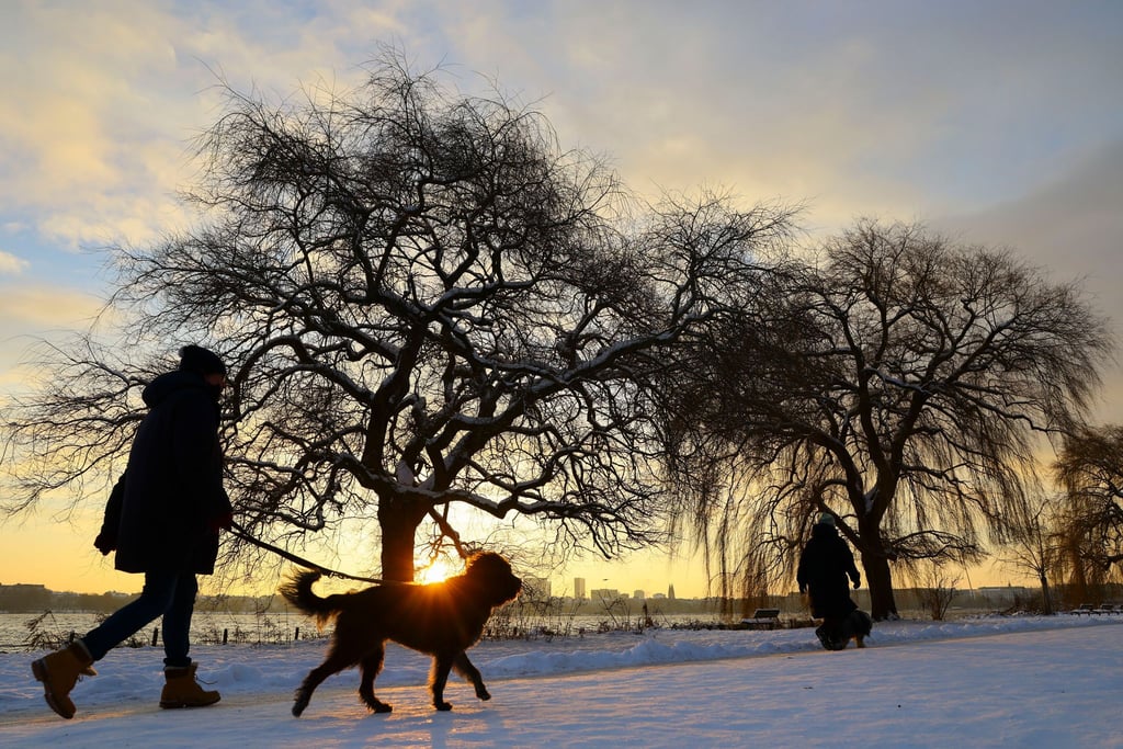 Meteorologen erwarten am Freitag bis zu 15 Zentimeter Neuschnee und kräftigen Wind in Norddeutschland.