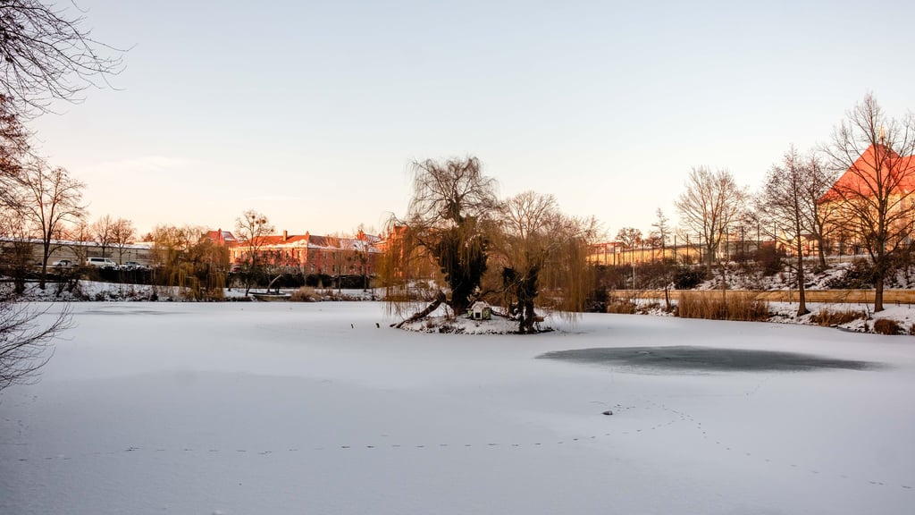 Der Landkreis Wittenberg kommt im Jahrbuch an vielen Stellen gut, an anderen eher schlecht weg.