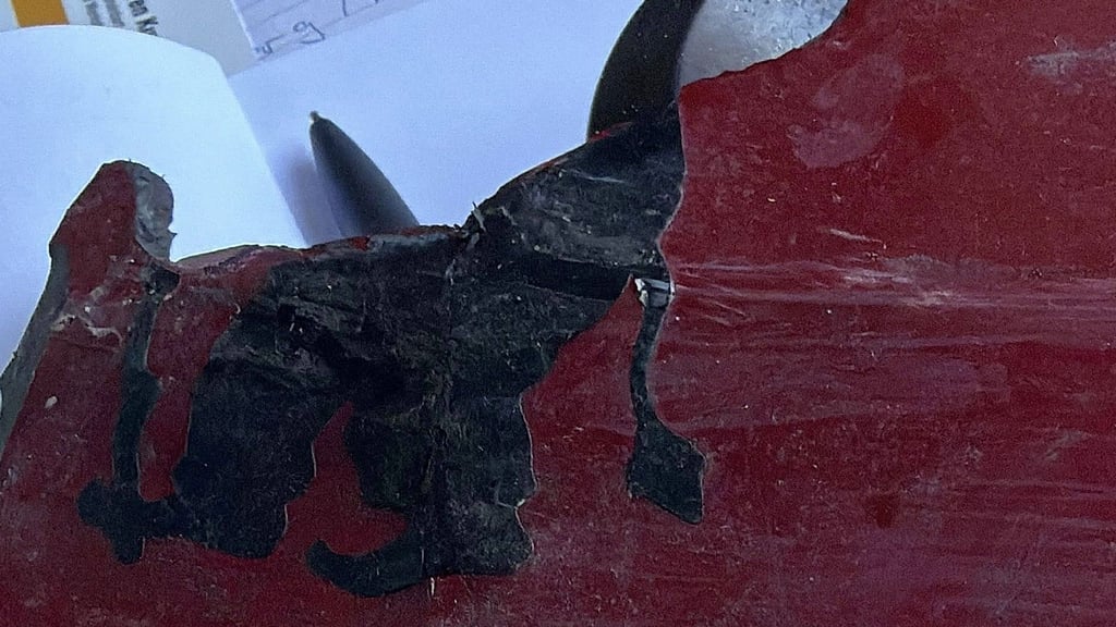 Dieses Autoteil mit einem Teufelchen-Aufkleber fand die Halterin des Autos, das gerammt worden war. 