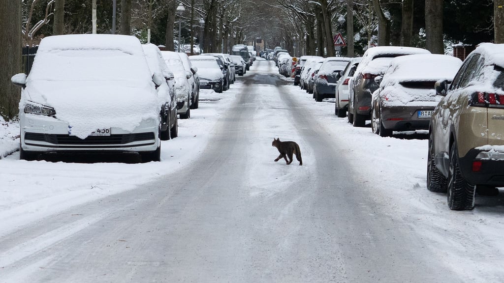 In Berlin und Brandenburg bleibt es frostig – zum Ende der Woche sorgen Schnee und Glätte erneut für winterliche Verhältnisse. (Archivbild)