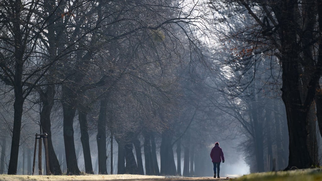 Einige Skulpturen aus dem Bestand des Großen Gartens können aufgrund ihres Alters oder ihres Zustandes nicht mehr im Freien aufgestellt werden. (Archivbild)