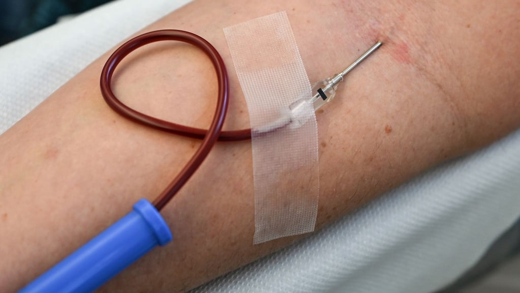 In Berlin und Brandenburg werden laut DRK jeden Werktag zwischen 600 und 800 Blutspenden benötigt. (Archivbild)