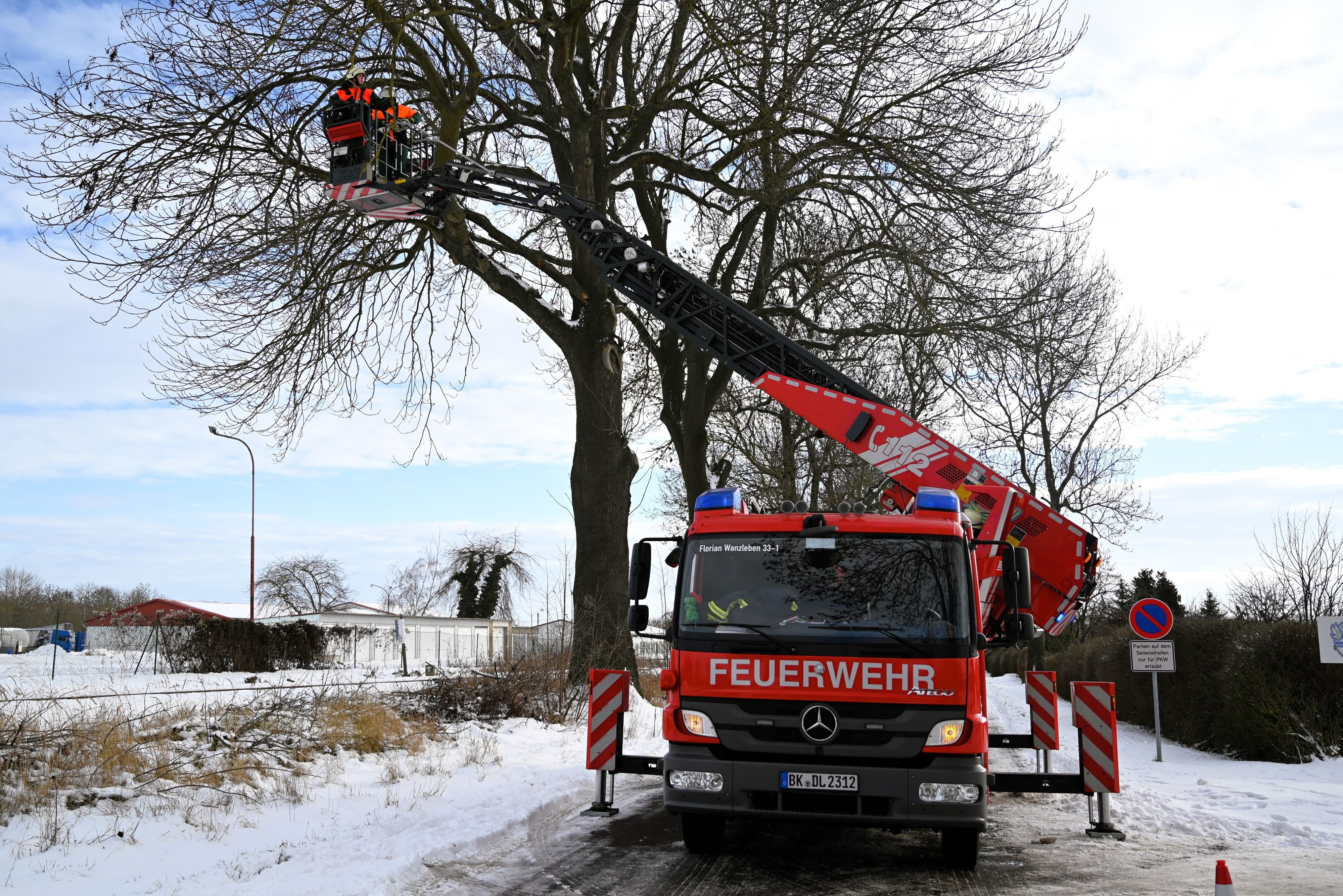 Feuerwehreinsatz in der Börde: Eisige Kälte und ein abgebrochener Ast in Wanzleben halten die Wehrleute in Atem