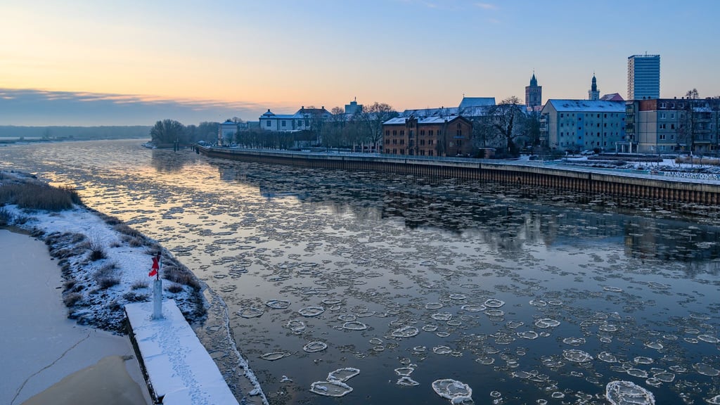 Auf der Oder haben sich wegen der Kälte Eisschollen gebildet.