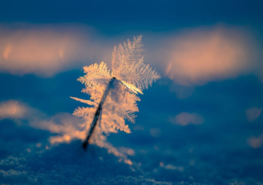 Eisige Temperaturen können für Menschen ohne Wohnung lebensgefährlich sein.