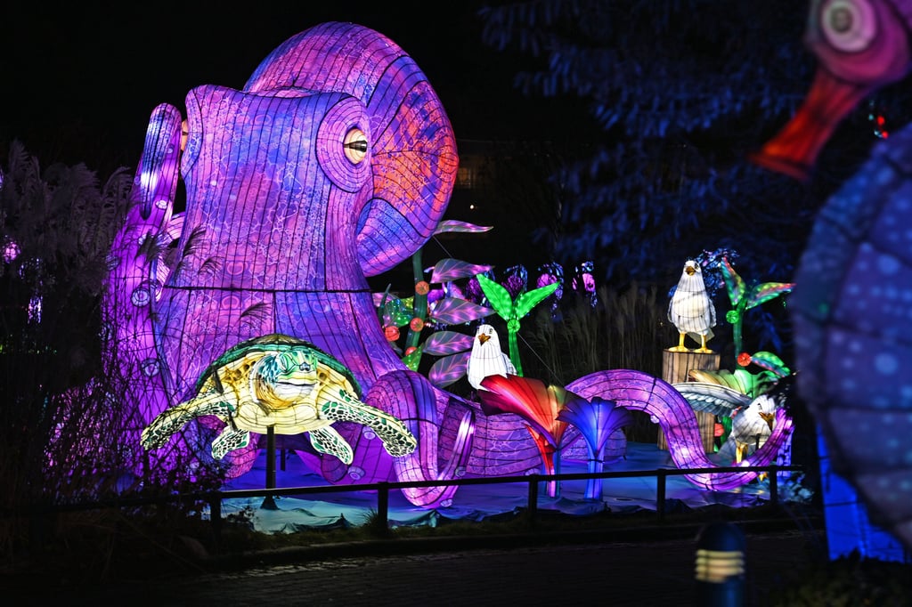 Magische Lichterwelten gibt es in Halle zu bewundern. Für viele Kinder gehört der riesige beleuchtete Oktopus zu den Highlights. Die neuen Lichtinstallationen sind vom 12. Dezember bis 1. März zu sehen.&nbsp;