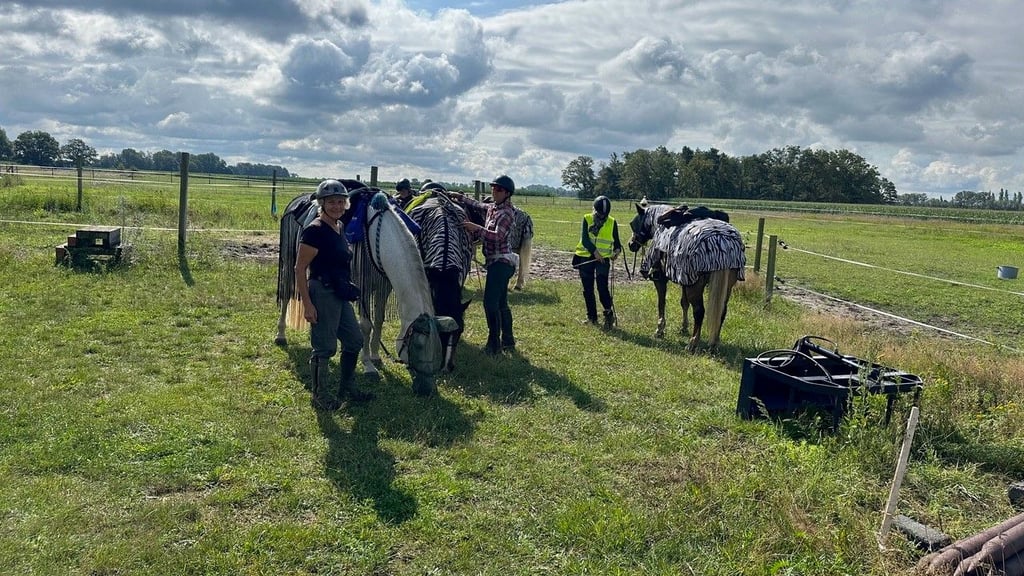 Der Drömling lockt auch viele Reiter an, um die schöne Region zu Pferd zu erforschen.