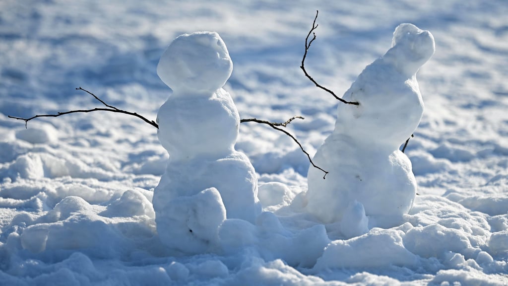 Winter-Wetter oder Frühlings-Vorbote? Was sagen die Bauernregeln für den Januar voraus?