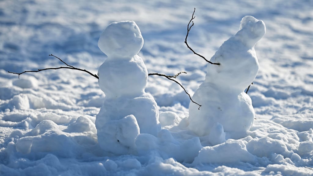 Winter-Wetter oder Frühlings-Vorbote? Was sagen die Bauernregeln für den Januar voraus?