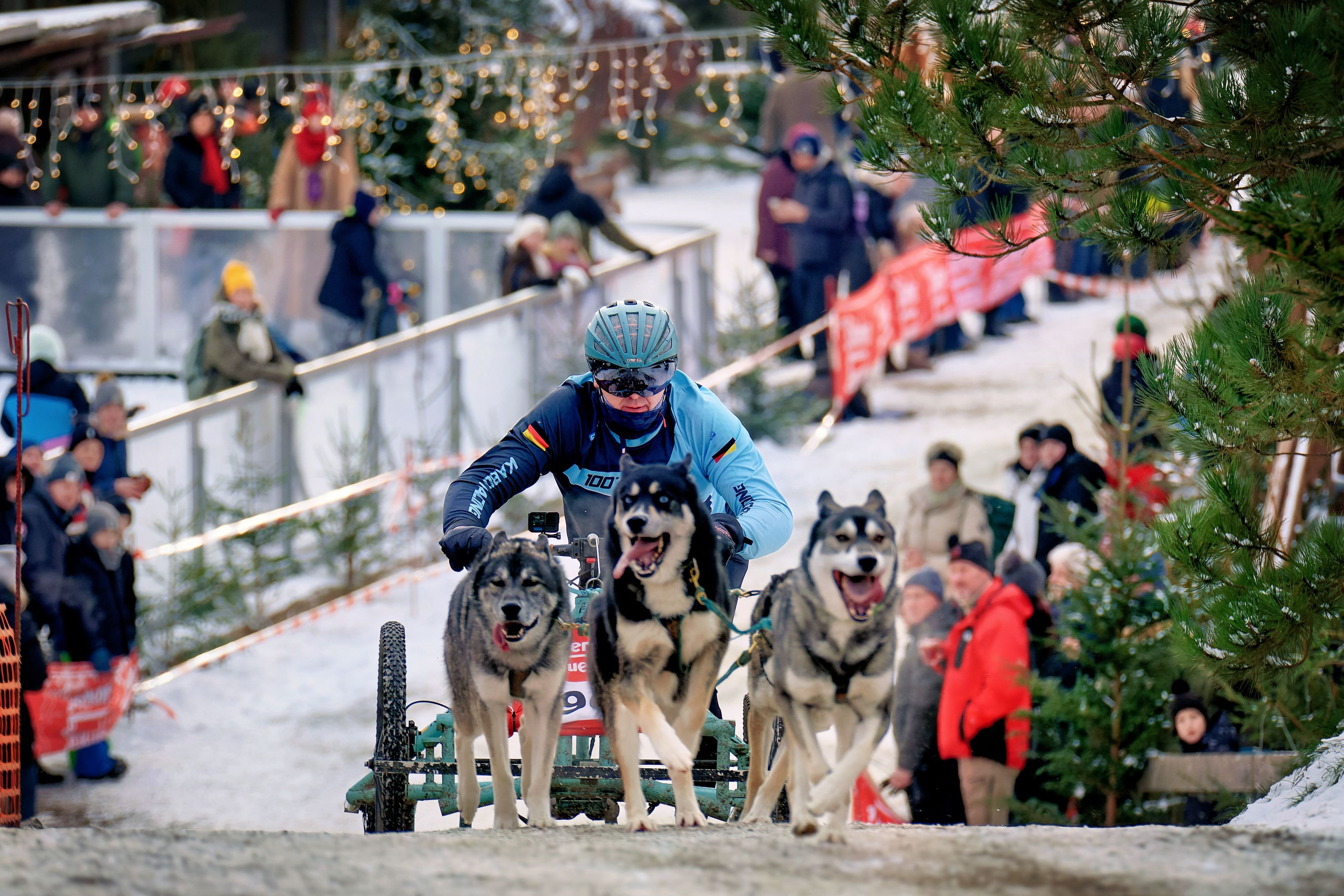 Wintersaison in Westernstadt: Ein Hauch von Alaska: 26. Auflage von Schlittenhunderennen in Pullman City Harz