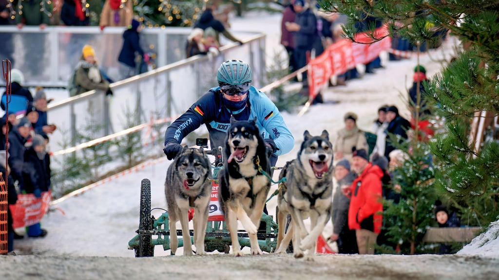 Am Wochenende des 10. und 11. Januars 2026 findet die 26. Auflage des Pullman City Quest statt. 