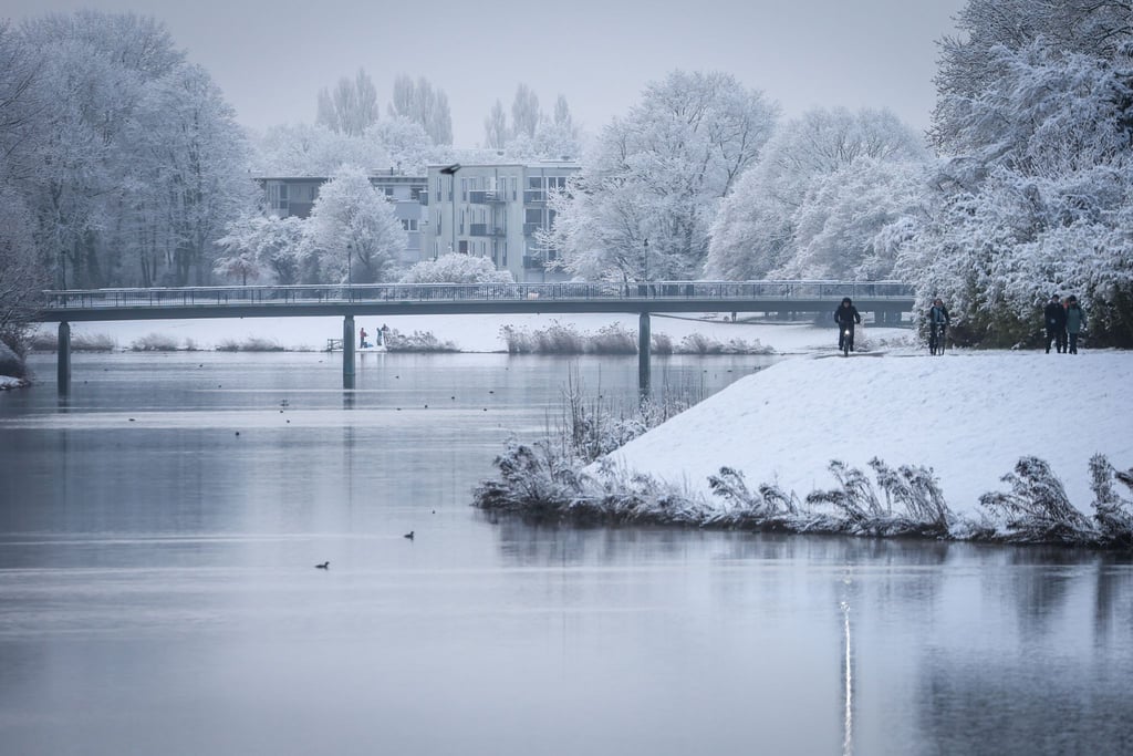 Der Bremer Werdersee hat aktuell eine dünne Eisschicht. (Archivbild)