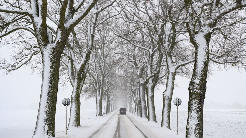 Fahrten sollten am Freitag vermieden werden, empfiehlt der Deutsche Wetterdienst.