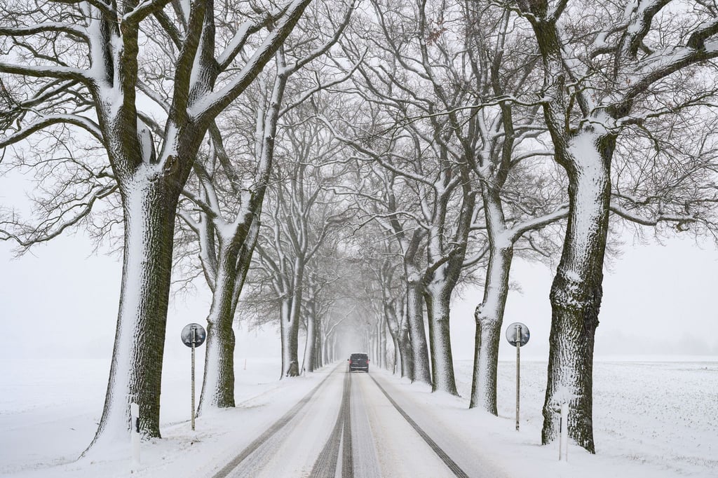 Fahrten sollten am Freitag vermieden werden, empfiehlt der Deutsche Wetterdienst.