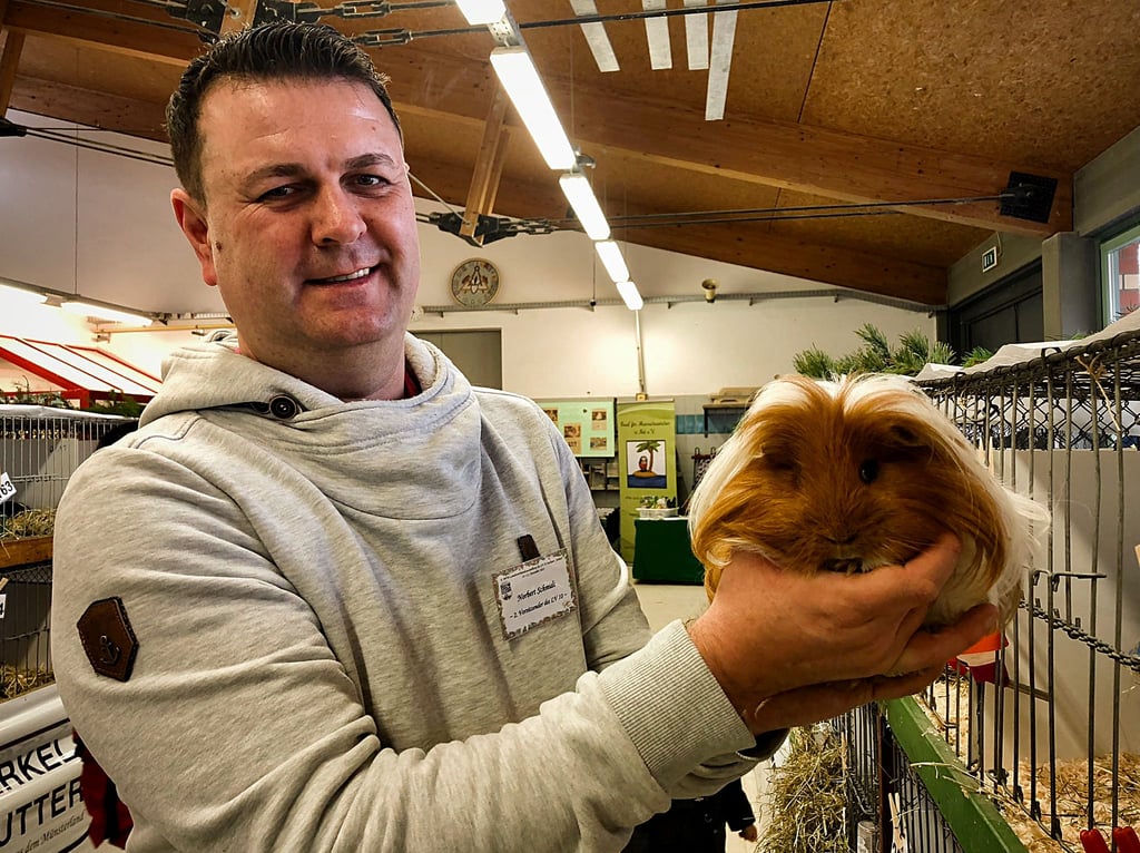 Wie in den Vorjahren begutachten Juroren die Tiere und bewerten Typ, Bau, Ohren, Fell und vieles mehr. 