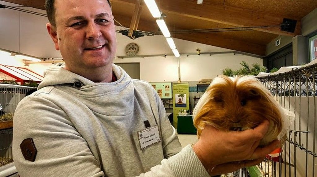 Wie in den Vorjahren begutachten Juroren die Tiere und bewerten Typ, Bau, Ohren, Fell und vieles mehr.