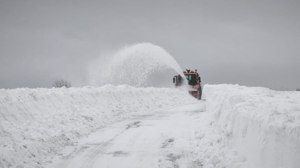 Aufgrund der extremen Wetterlage durch das Sturmtief "Elli" verzichten etliche Schulen in Sachsen-Anhalt auf Präsenzunterricht.