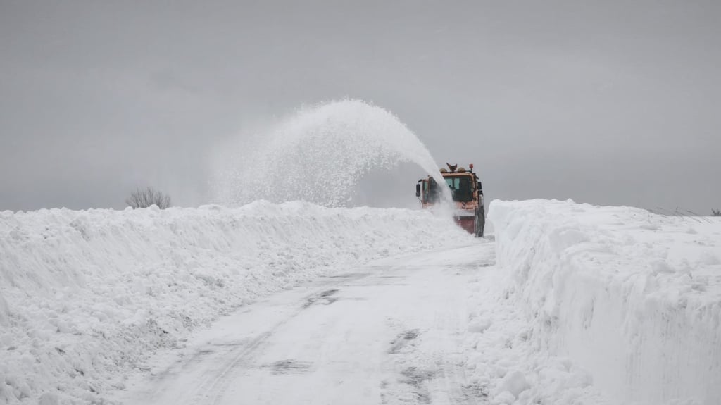Aufgrund der extremen Wetterlage durch das Sturmtief "Elli" verzichten etliche Schulen in Sachsen-Anhalt auf Präsenzunterricht.