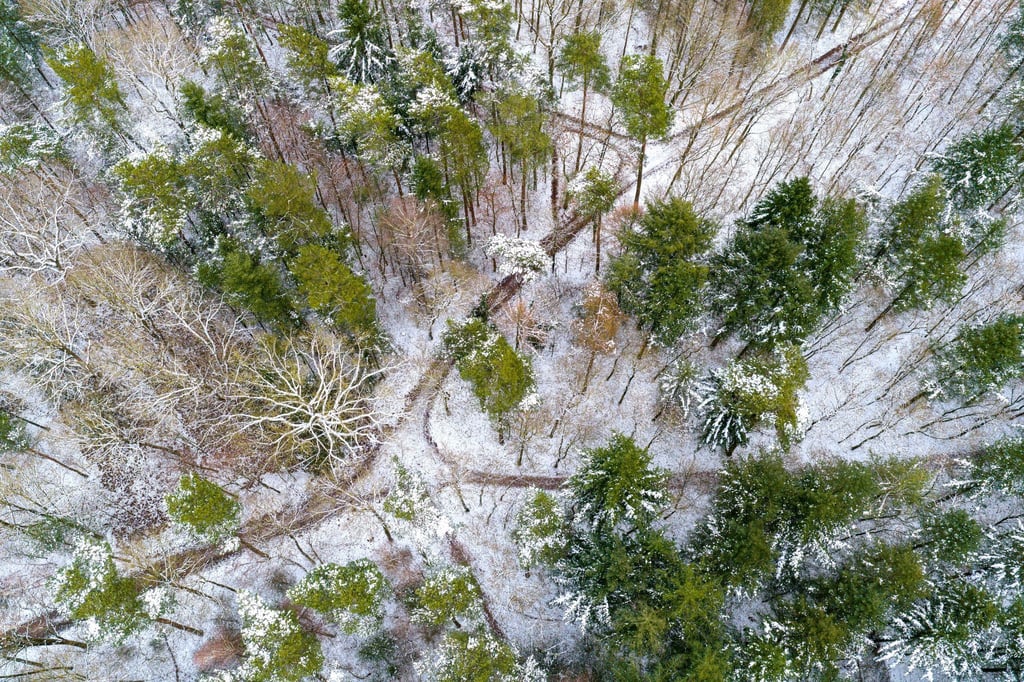 Wegen der Unwetterwarnungen kommt es zu Einschränkungen und Schließungen in Niedersachsen, wie etwa beim Wildpark Schwarze Berge im Landkreis Harburg. (Symbolfoto)