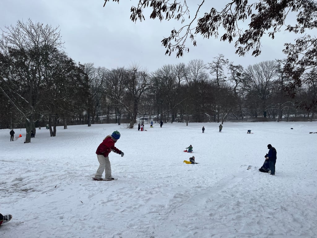 Viele Familien nutzen den verschneiten Nachmittag zum Rodeln und Schlittenfahren.