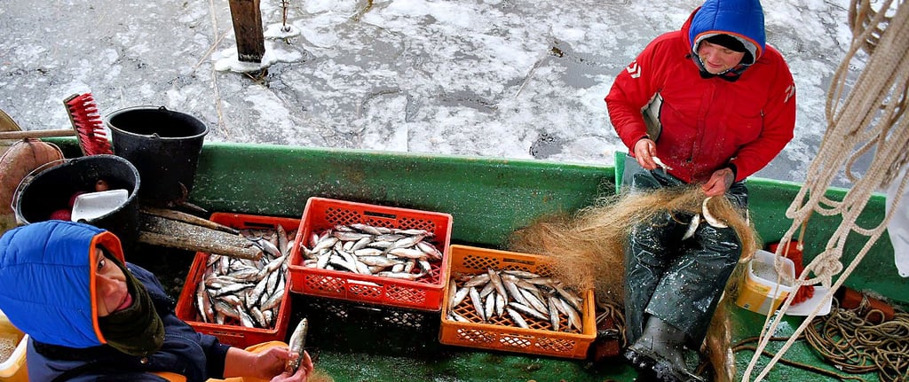 Fabian Stegner (links) und Marvin Miller holten dick eingemummelt aber ohne Handschuhe die Fische aus den Netzen.