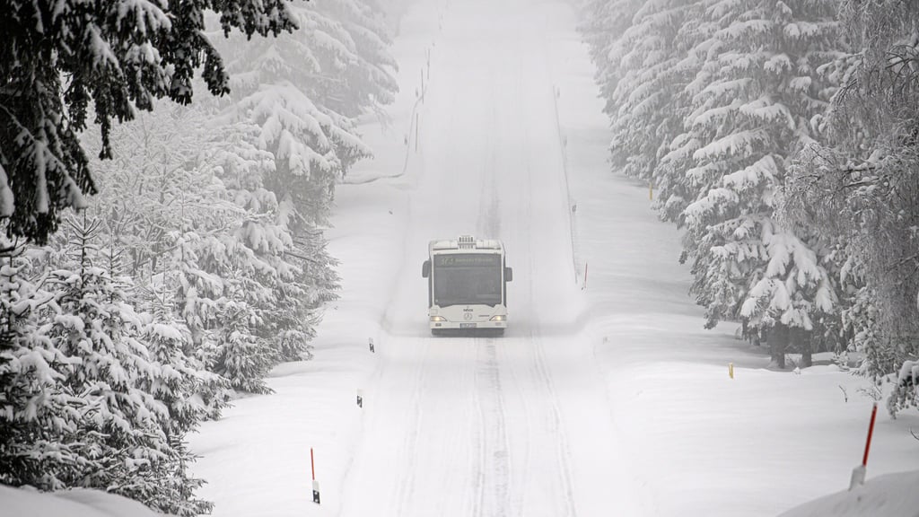 Aktuell ist der Linien- und Schülerverkehr im Burgenlandkreis eingestellt.