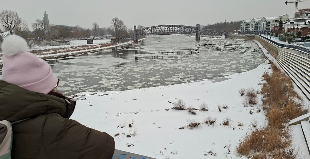 Eisschollen auf der Elbe - ein Naturschauspiel, das man nicht so oft an der Elbe in Magdeburg erleben kann. 