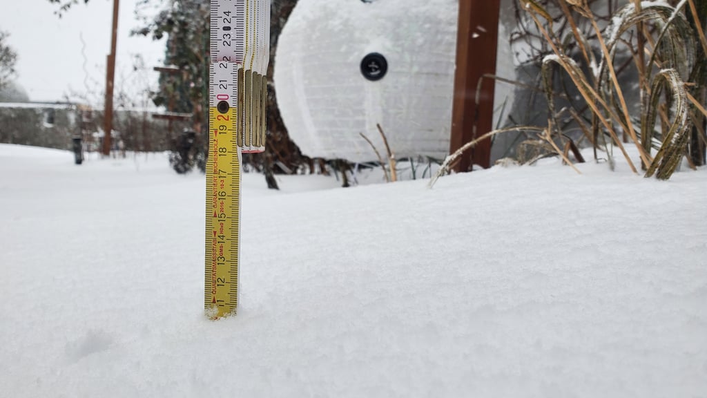 Der Schneesturm "Elli" hat die Börde erreicht. Um 10 Uhr am Freitagmorgen lagen