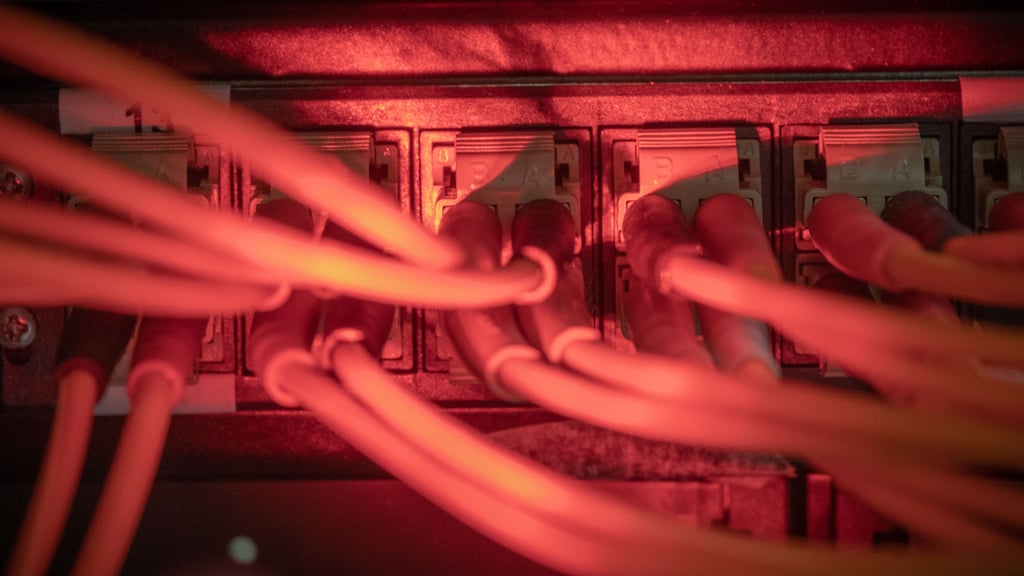 Sachsen-Anhalts Verfassungsschutz warnt vor Cyberattacken und Desinformationskampagnen vor der Landtagswahl 2026. 