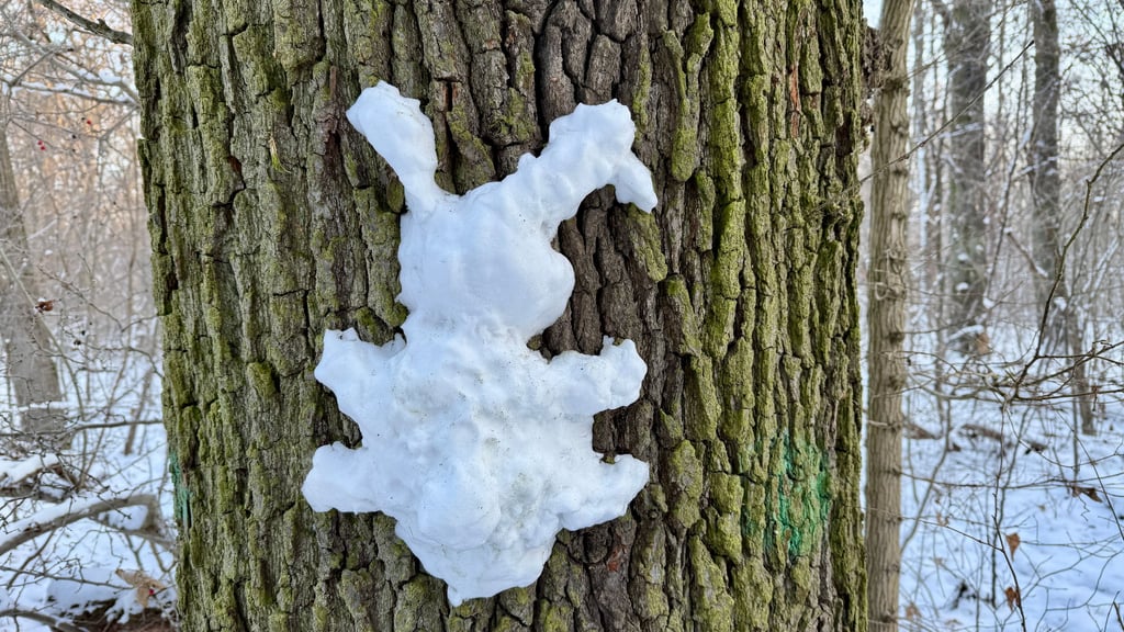 Der Winter ist in Dessau angekommen.