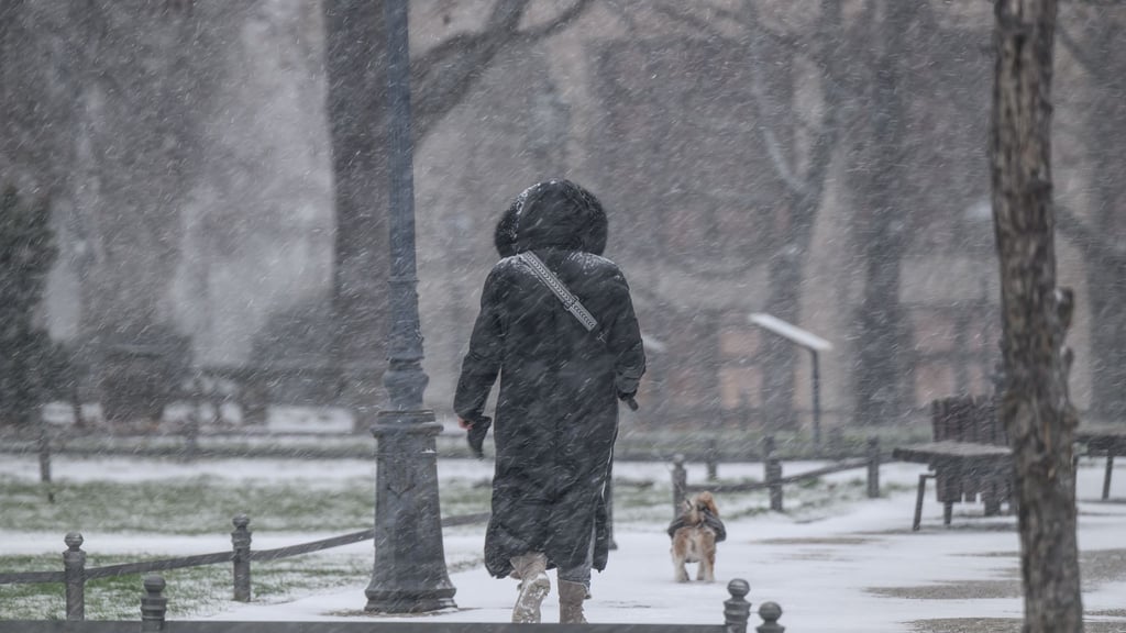 Schneefall und Glätte erhöhen die Unfallgefahr in Parks und Schlossanlagen in Sachsen.