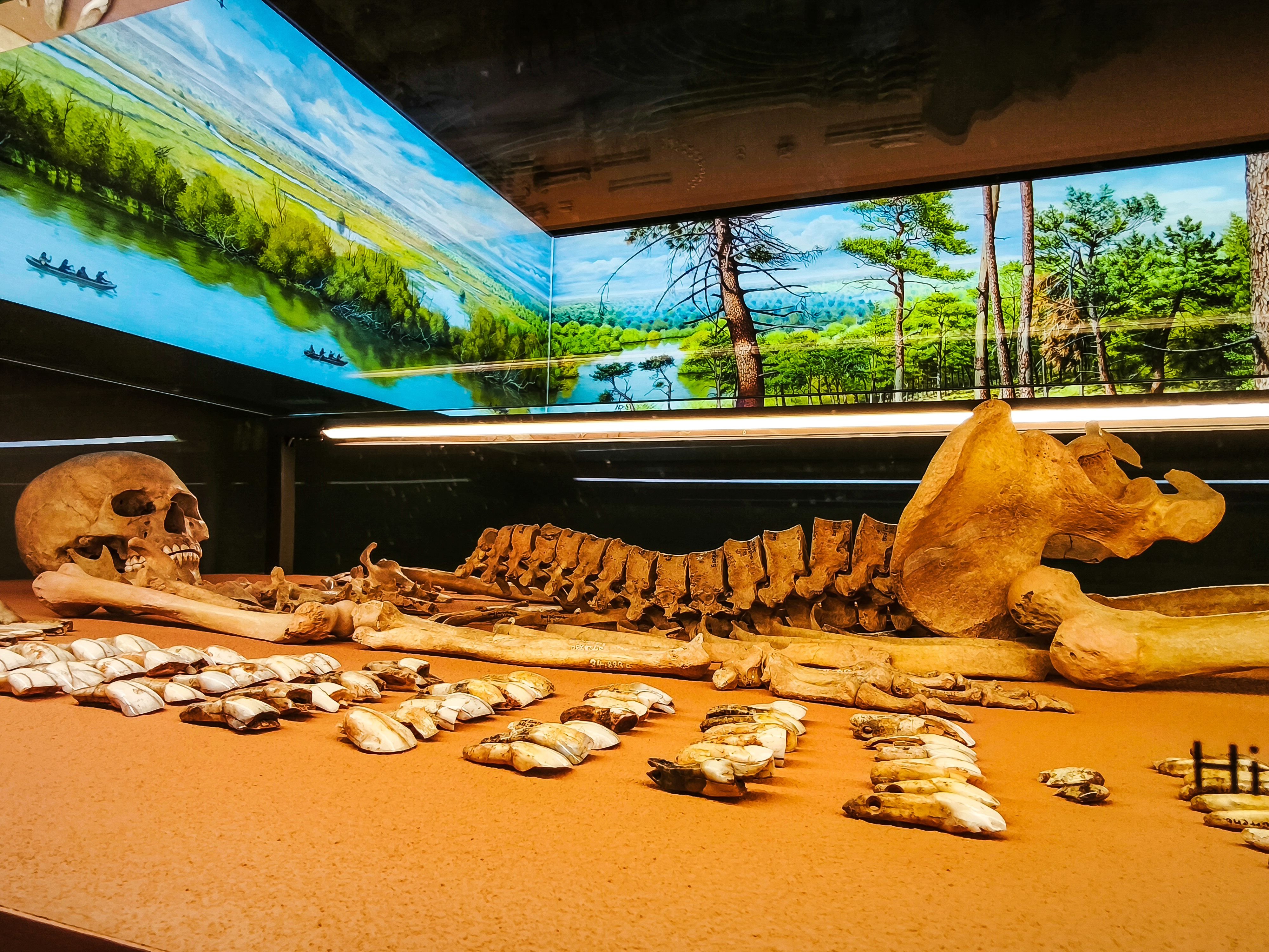 Geheimnisse unter dem Kurpark: Spektakuläre Funde in Bad Dürrenberg: Schamanin war wohl mächtiger als gedacht