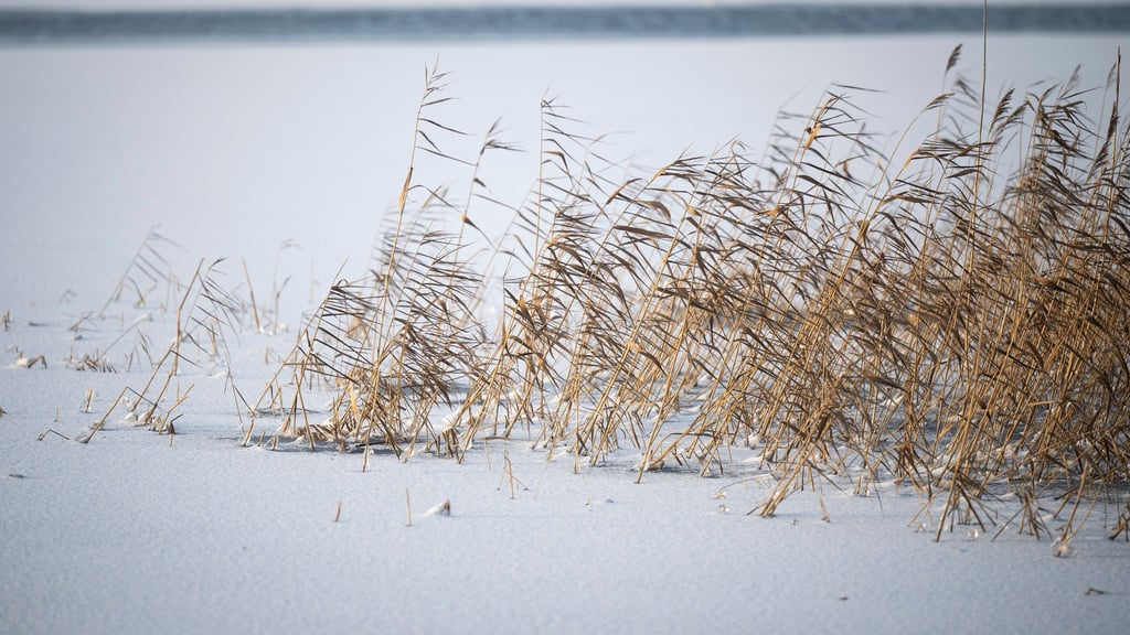 Vor dem Betreten von zugefrorenen Gewässern wird gewarnt. (Symbolbild)