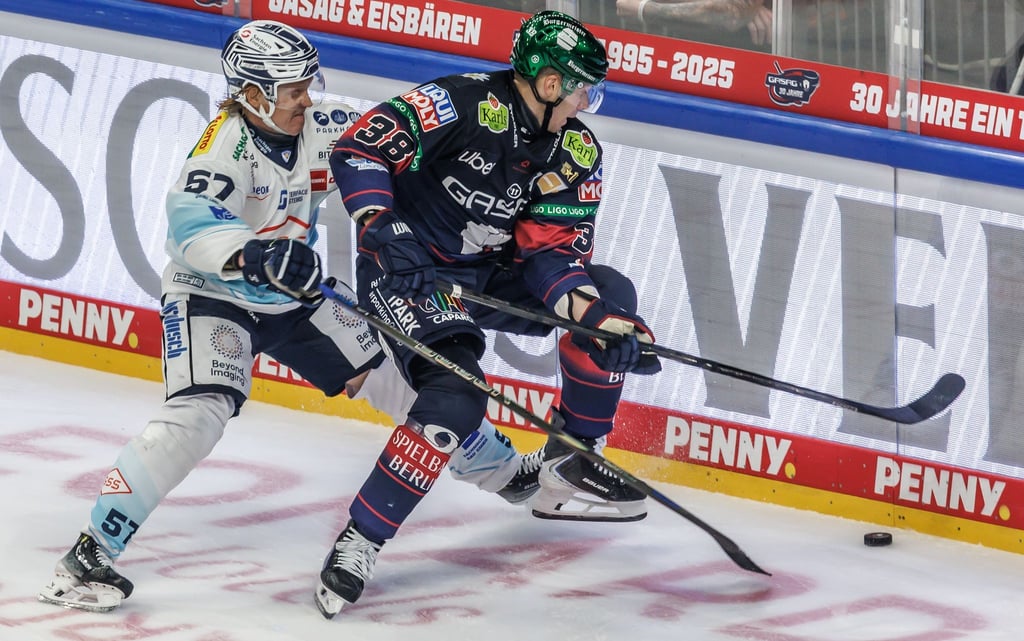 Die Eisbären Berlin treffen im DEL-Winter-Game am Samstag erneut auf die Dresdner Eislöwen.