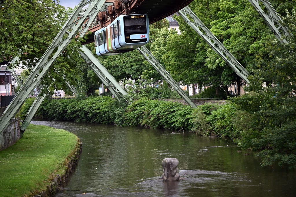 Vor mehr als 75 Jahren stürzte der kleine Elefant Tuffi aus einem Wagen der Schwebebahn in die Wupper (Archivbild). Der Tuffi-Stein erinnert daran.